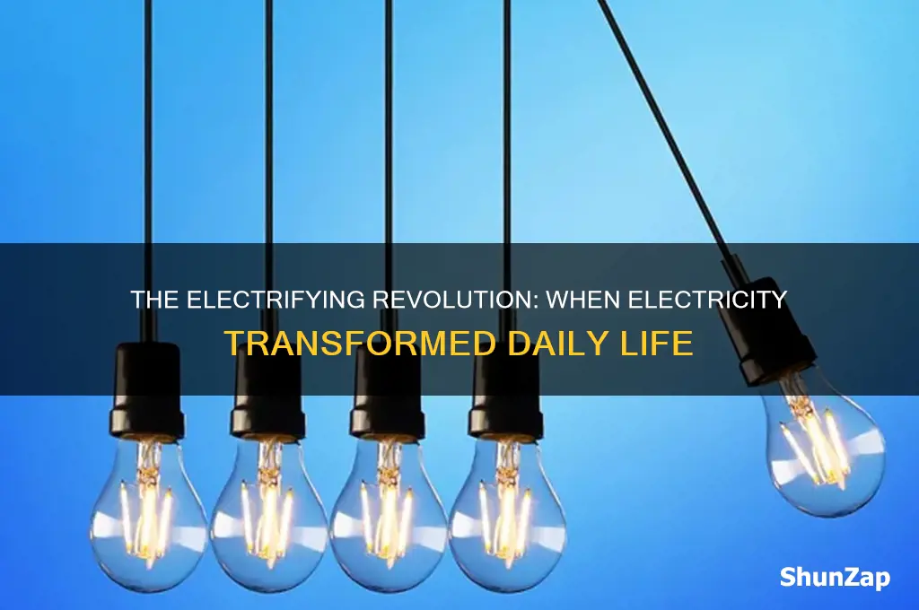 when did electricity become widely used