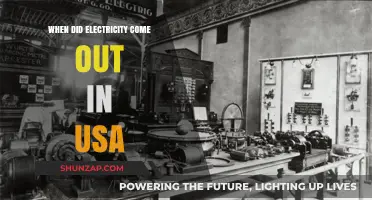Electricity in the USA: A Historical Perspective