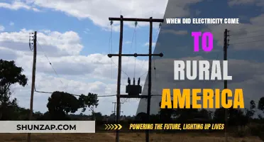Electricity in Rural America: A Historical Perspective