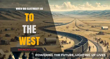 Electricity's Western Expansion: A Historical Perspective