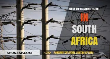 Electricity's Arrival in South Africa: A Historical Perspective