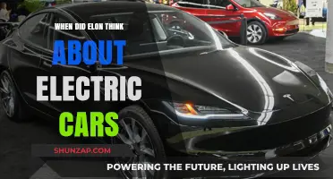 Elon Musk's Vision: When Electric Cars Became His Mission