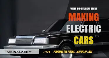Hyundai's Electric Revolution: Tracing the Origins of Their EV Journey