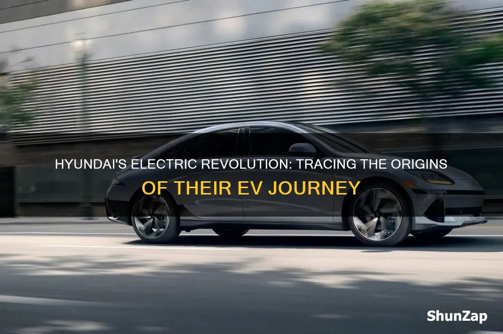 when did hyundai start making electric cars