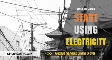 Japan's Electrification Journey: When Did the Nation Embrace Electricity?