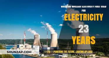 Nuclear Power's Milestone: First Electricity Generation 23 Years Ago