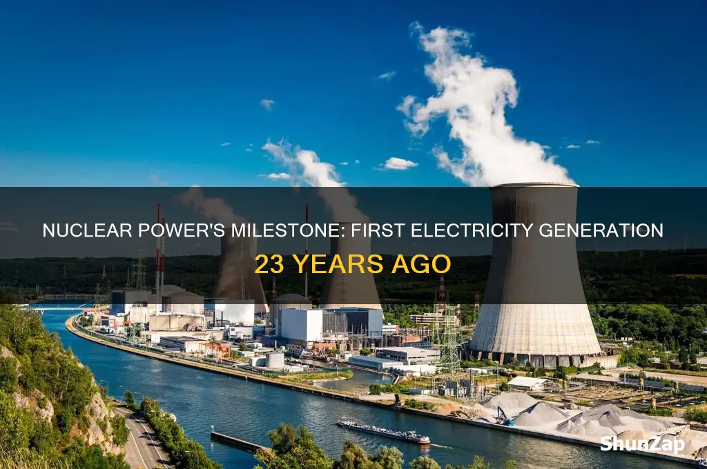 when did nuclear electricity first used for electricity 23 years