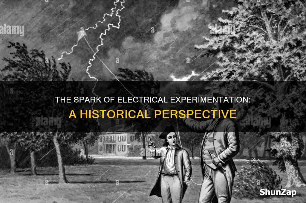 when did scientists begin experimenting with electricity