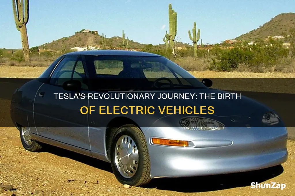 when did tesla release its first electric vehicles