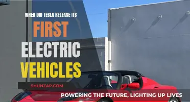 The Launch of Tesla's First Electric Vehicle