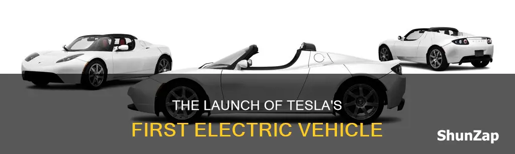 when did tesla release its first electric vehicles
