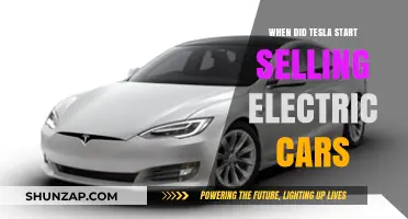 Tesla's Electric Car Revolution: A Journey Since Its Inception