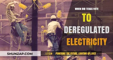 Texas' Fateful Decision: Deregulating Electricity