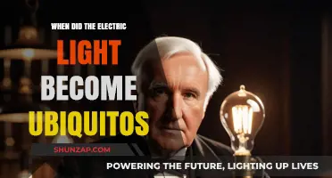 The Electric Light's Journey to Ubiquity