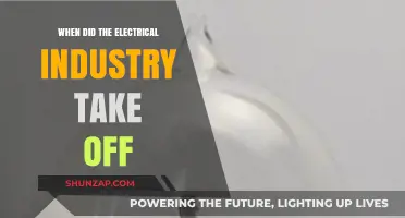 The Electric Age: When Did It Begin?