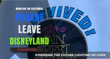 Electrical Parade's Departure: A Sad Goodbye to Disney's Magic