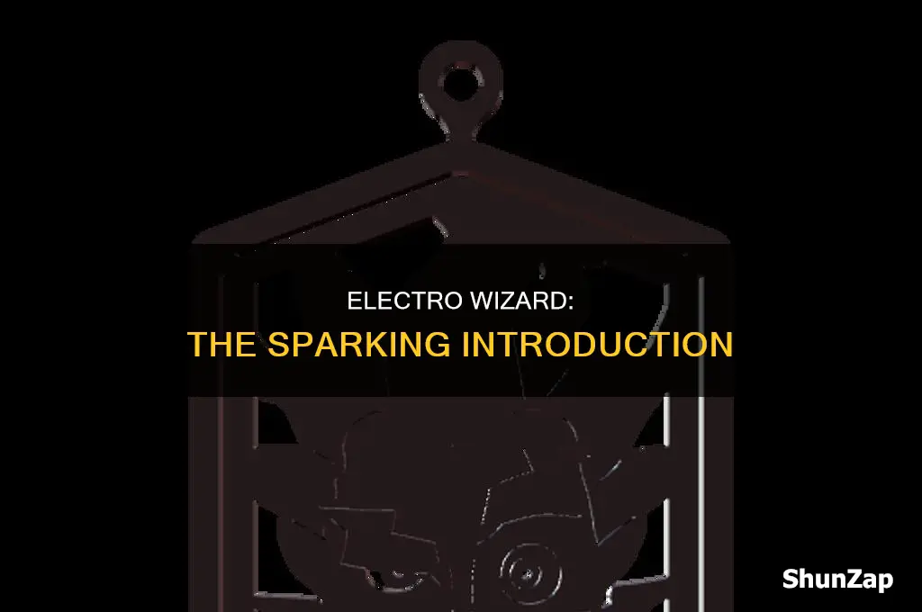 when did the electro wizard come out