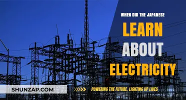 Japan's First Encounters with Electricity