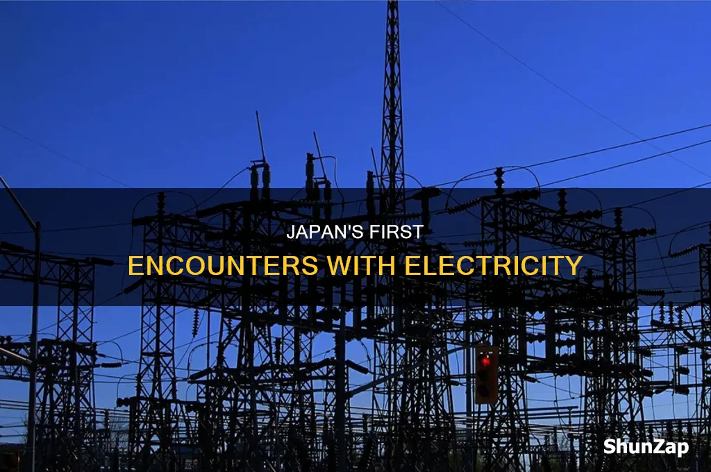 when did the japanese learn about electricity