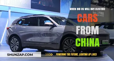 When Will the US Embrace Chinese Electric Cars?