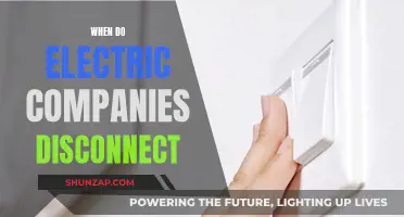 Electric Companies: Disconnection Policies and Consumer Protection