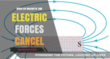 Understanding Magnetic and Electric Forces: When Do They Cancel?