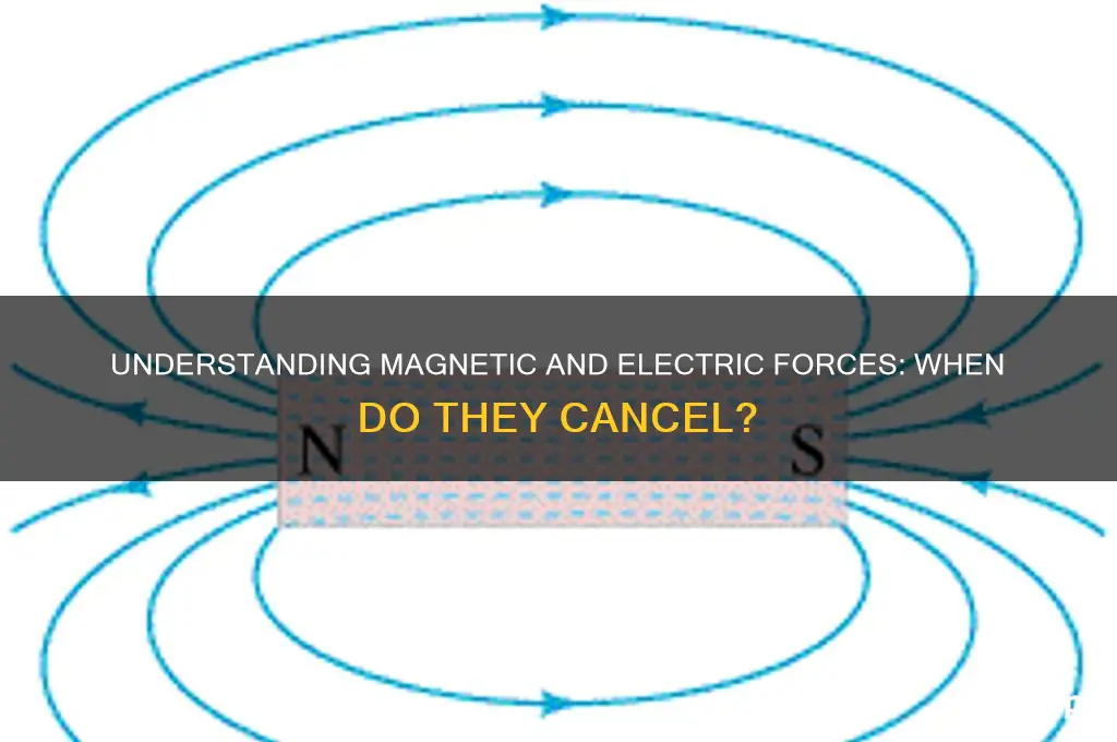 when do magnetic and electric forces cancel