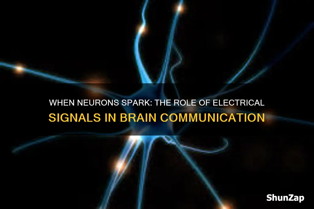 when do neurons use electrical signals