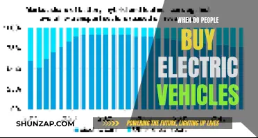 Electric Vehicle Purchase Timing: Understanding Consumer Behavior