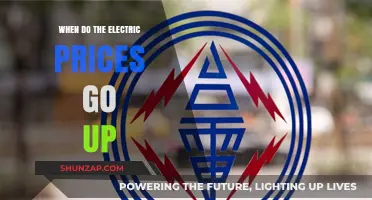 Electricity Prices: When Do They Surge?