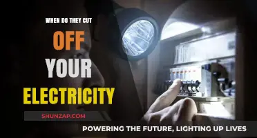 Electricity Cut-Off: What's the Timeline?
