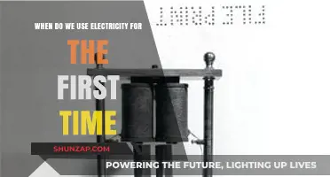 The Dawn of Electricity: Humanity's First Power Usage Explained