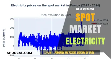 When to Use Spot Market Electricity: A Practical Guide