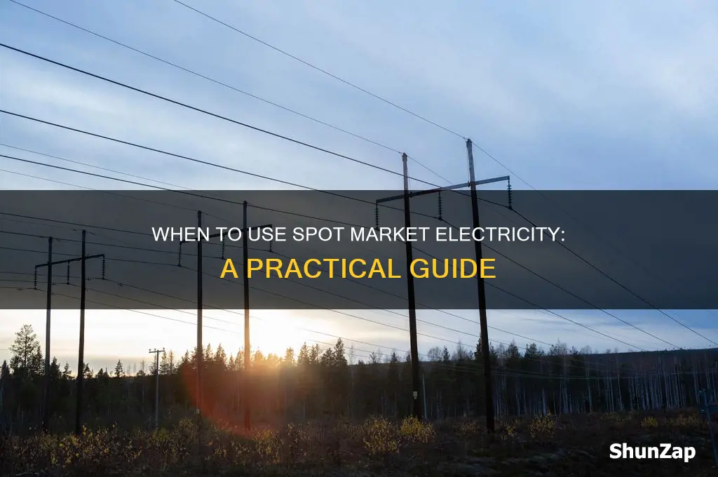 when do we use spot market electricity