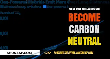 Electric Cars and Carbon Neutrality: When Does the Shift Happen?