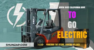 California's Electric Future: When Will the Switch Happen?