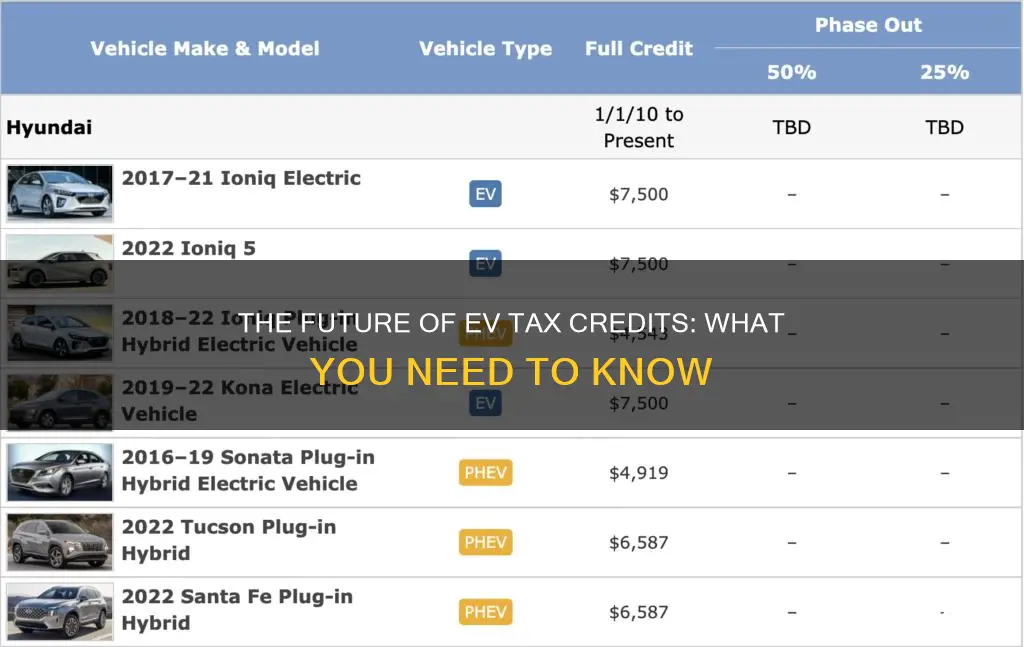 when does electric vehicle tax credit end