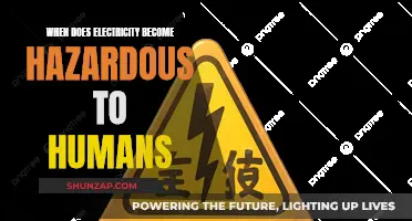 Electricity's Hazardous Nature: Understanding Voltage's Lethal Threshold
