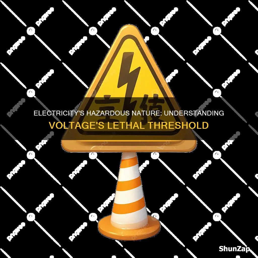 when does electricity become hazardous to humans