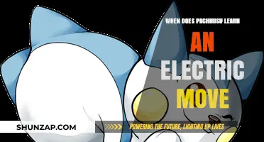 Pachirisu's Electric Move: What's the Hold-Up?