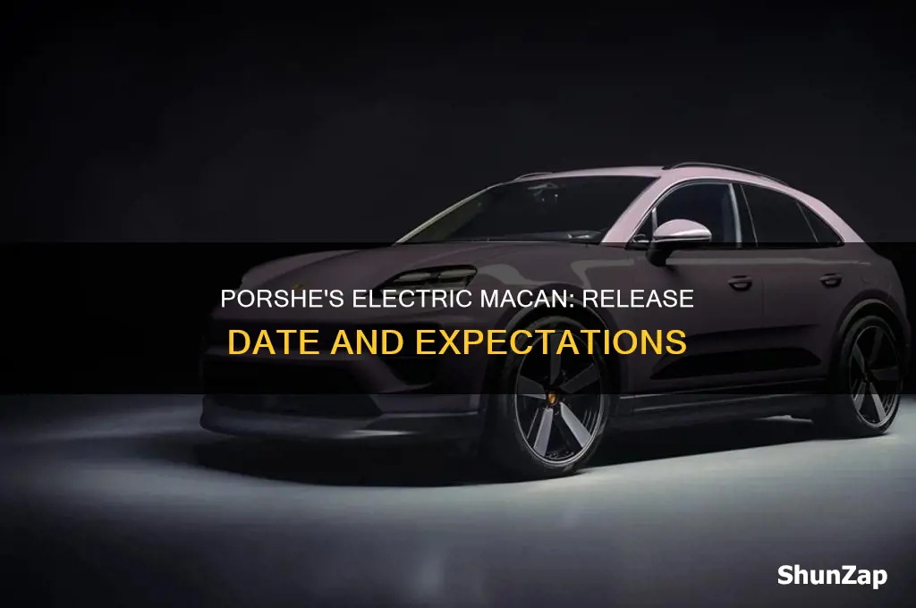 when does the electric macan come out