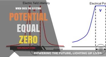 Where Does Electric Potential Vanish?