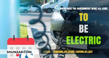 Government's Electric Vehicle Deadline: When Will All Cars Go Green?