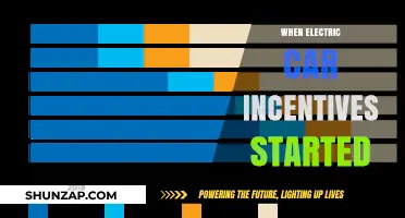The Rise of Electric Vehicles: When Incentives First Sparked Change