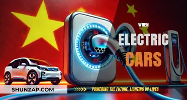 When Electric Cars Dominate: The Future of Sustainable Transportation