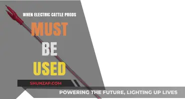 When and Why Electric Cattle Prods Are Necessary in Livestock Handling