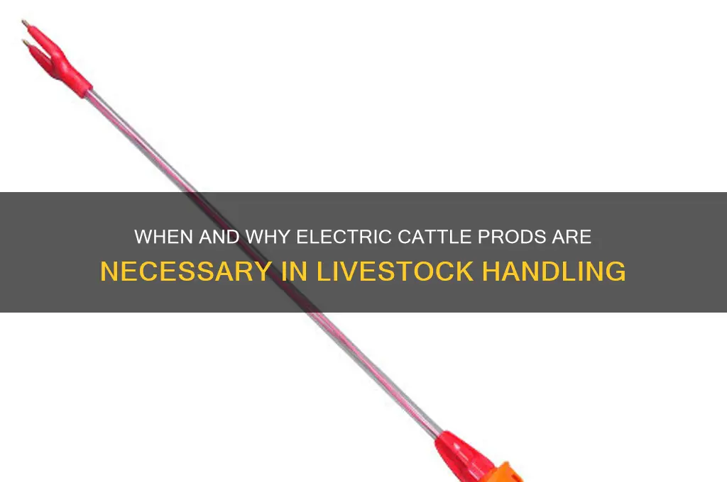 when electric cattle prods must be used