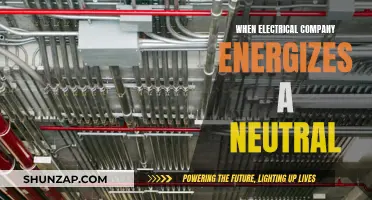 Electrical Company's Neutral Energization: Risks and Safety Protocols