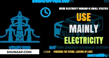 Low Demand, High Efficiency: How Utilities Optimize Small Electricity Usage