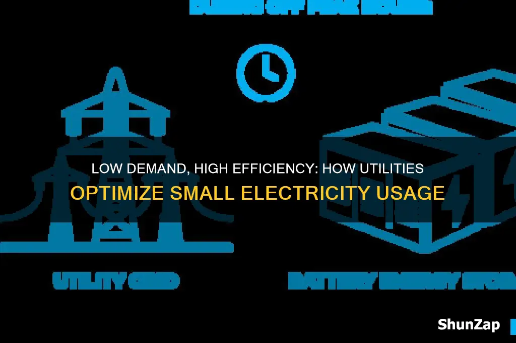 when electricity demand is small utilities use mainly electricity